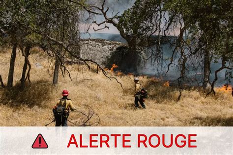 La France plonge dans l’urgence : 72 départements en alerte rouge pour des incendies sans précédent