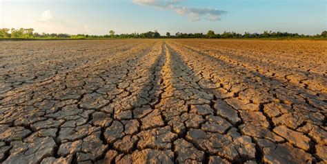 La France au bord du glas : une sécheresse historique déclenche l’effondrement économique